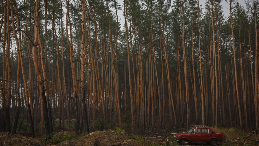 Er lebt seit einem Monat im Wald: Russischer IT-Spezialist flieht vor Mobilmachung