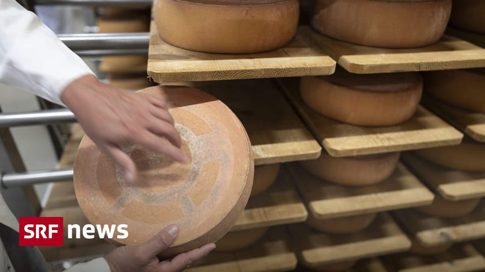 Käse-Gaunerei bei Cremo – Wie britische E-Mail-Betrüger 32 Tonnen Schweizer Käse stahlen