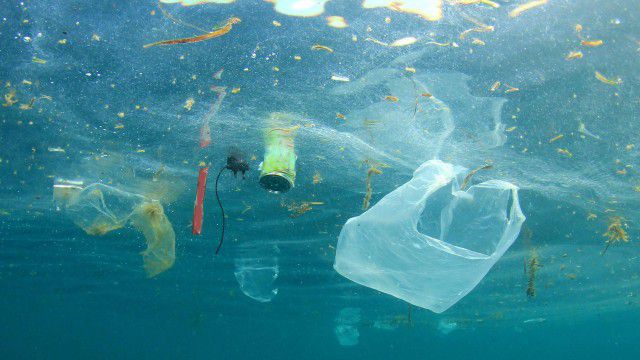 Künstliche Intelligenz soll Plastikmüll im Meer aufspüren