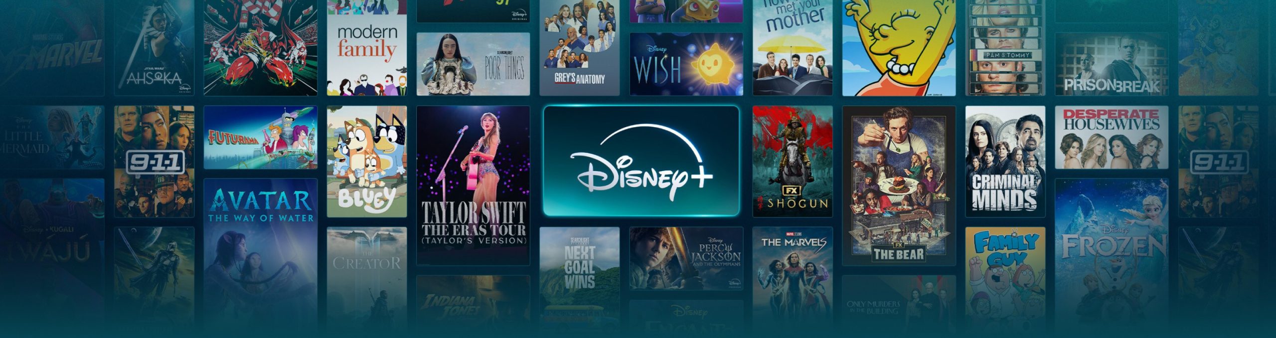 Disney+ will auf breiter Front gegen Teilen von Login-Daten vorgehen