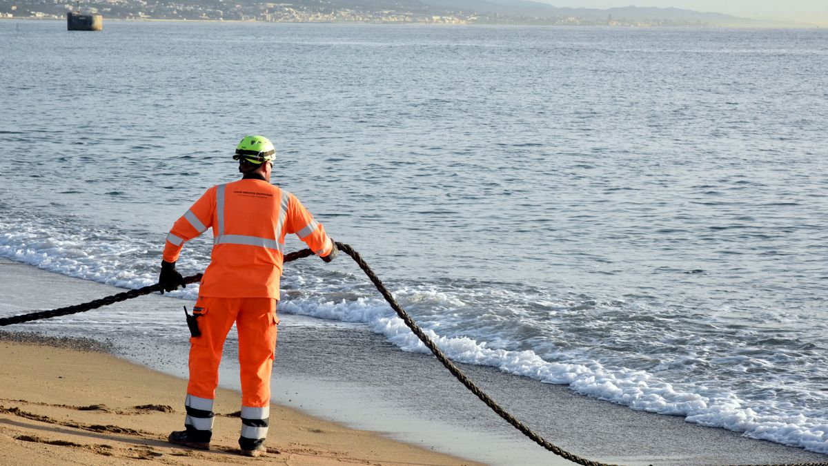 Unterseekabel: Uno-Organi­sation will Sicherheit verbessern