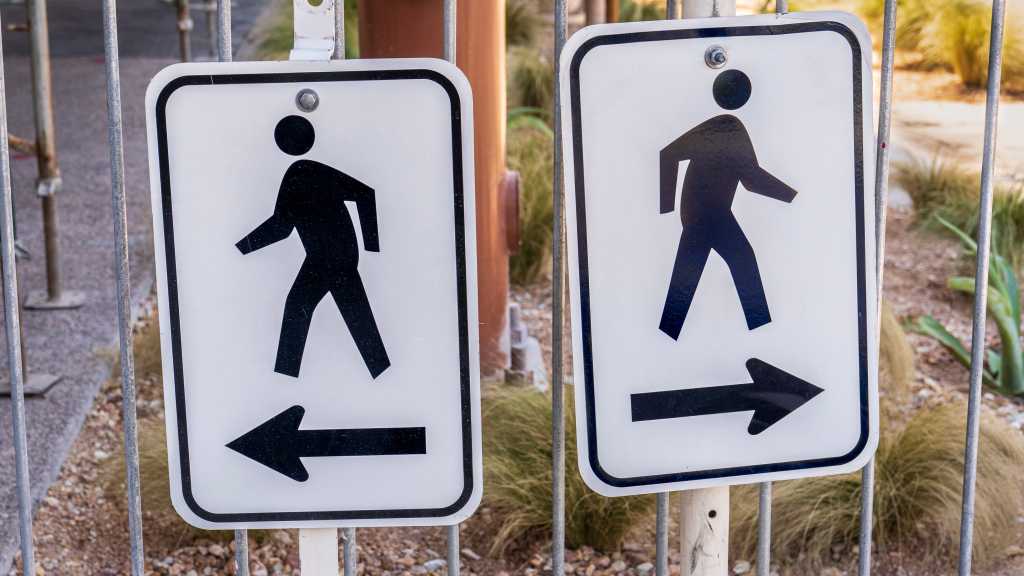 Die größten Paradoxa der Softwareentwicklung
